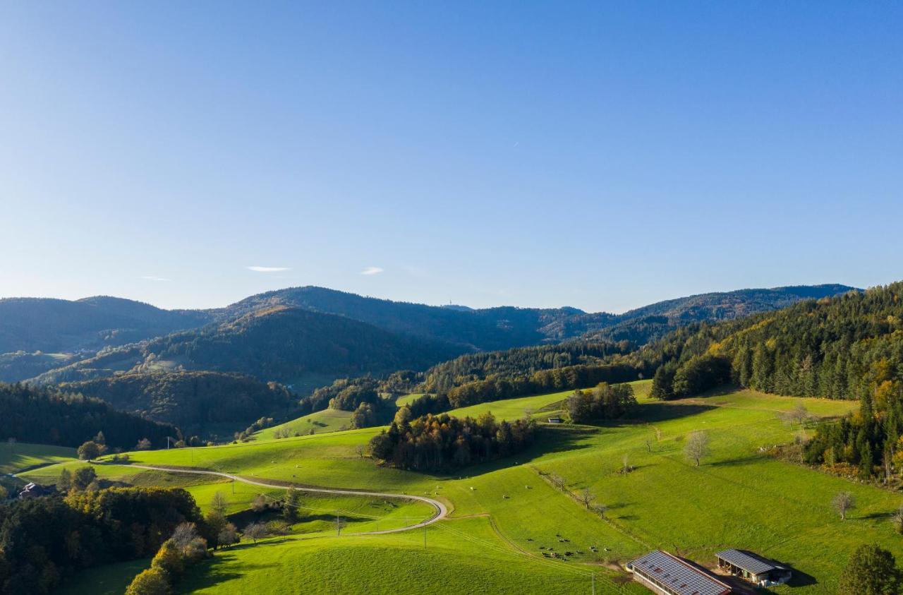 Hotel-Restaurant Sennhuette Im Herzen Des Suedschwarzwalds Kleines Wiesental エクステリア 写真